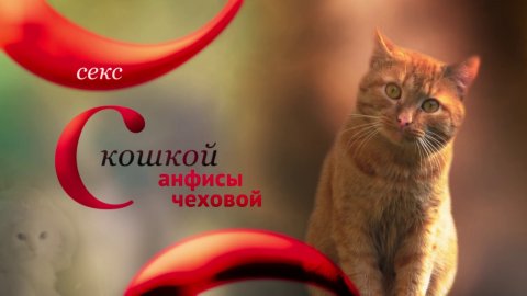 Любимцы: Секс с кошкой Анфисы Чеховой