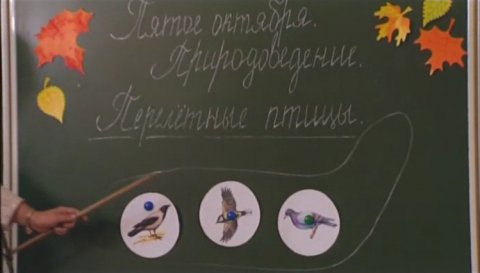 Наша Russia: Снежана Денисовна — Самолёт для птиц