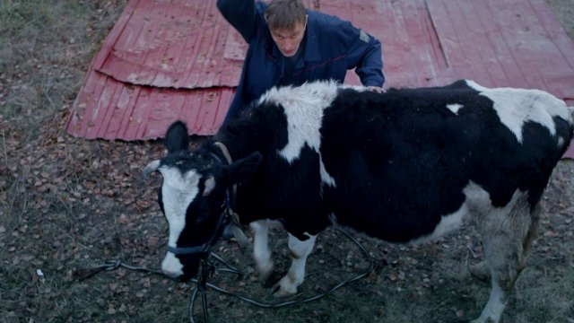 Бородач: Как разделать корову с помощью танка